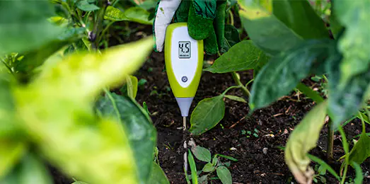 Moisture meter tester in soil. Measure soil for humidity with digital device. Concept for new technology in the agriculture.