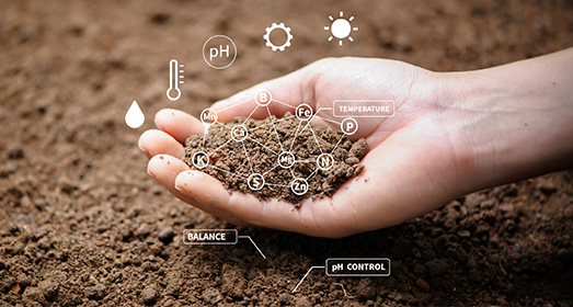 Top view of soil in hands for check the quality of the soil for control soil quality before seed plant. Future agriculture concept. Smart farming, using modern technologies in agriculture