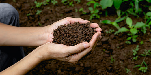 hand holding fertile soil for plant to growing in nature.